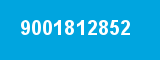 9001812852 9001812852