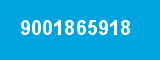 9001865918
