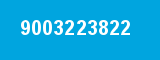9003223822