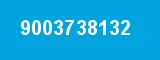 9003738132