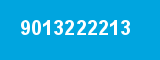 9013222213