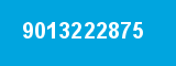 9013222875