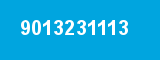 9013231113