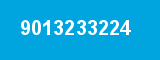 9013233224