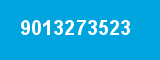 9013273523 9013273523