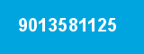9013581125 9013581125
