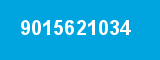 9015621034 9015621034