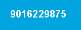 9016229875