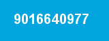 9016640977