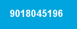 9018045196