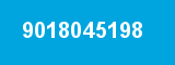 9018045198