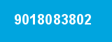 9018083802