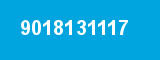 9018131117 9018131117