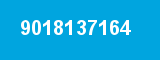 9018137164