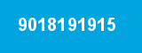 9018191915