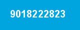 9018222823