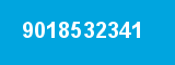 9018532341
