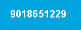 9018651229