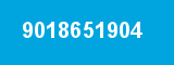 9018651904