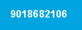 9018682106