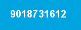9018731612