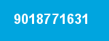 9018771631