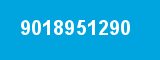 9018951290 9018951290