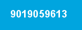 9019059613