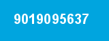 9019095637
