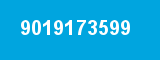 9019173599