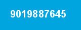 9019887645