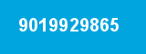 9019929865