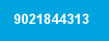9021844313