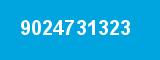 9024731323