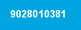 9028010381