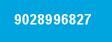 9028996827