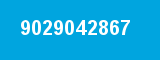 9029042867