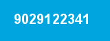 9029122341