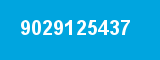 9029125437