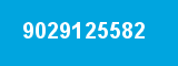 9029125582