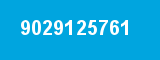 9029125761