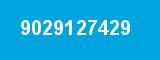 9029127429