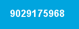 9029175968