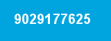 9029177625