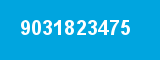 9031823475