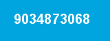 9034873068