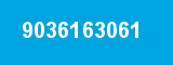 9036163061