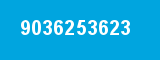 9036253623