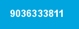 9036333811