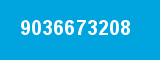 9036673208
